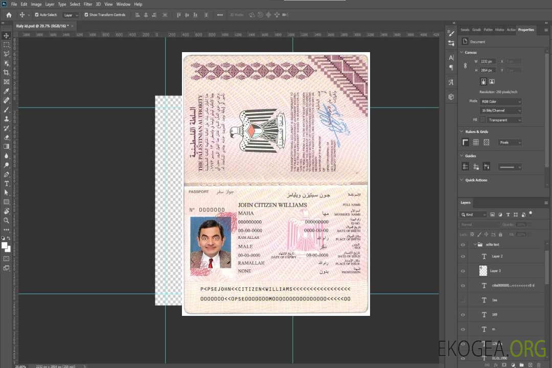 Passeport palestinien template Passeport palestinien template